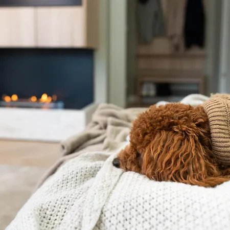 Yachthafen - Und Penthouses * Barth